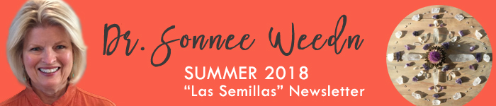 Banner_Newsletter_Summer-2018_v1